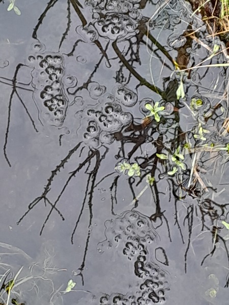 Any Witches here? Part 20