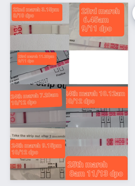 CD1 entering 3rd month TTC (next fertile window 8th - 17th march)