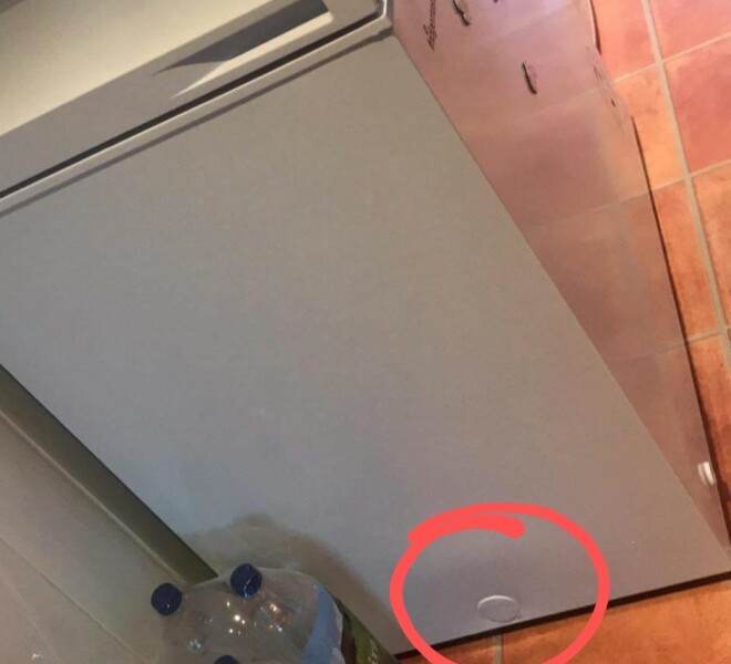 Anyone know what this is?