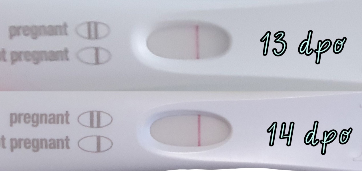 16 DPO, high temp, AF due tomorrow 