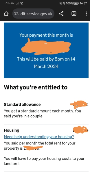 Likely consequences of this benefit fraud