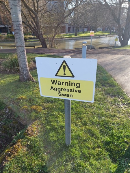 Come chat hiking with me!