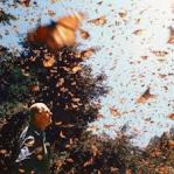 Royal Photographers and their iconic photographs: the best of the best