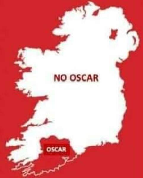 Irish (the language)