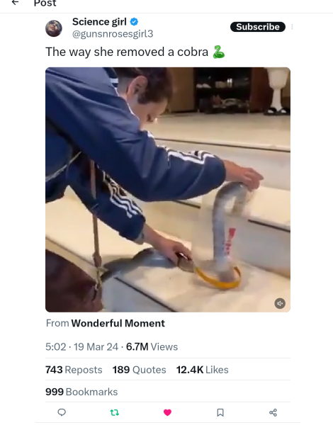 Women's rights general conversations - Thread 7