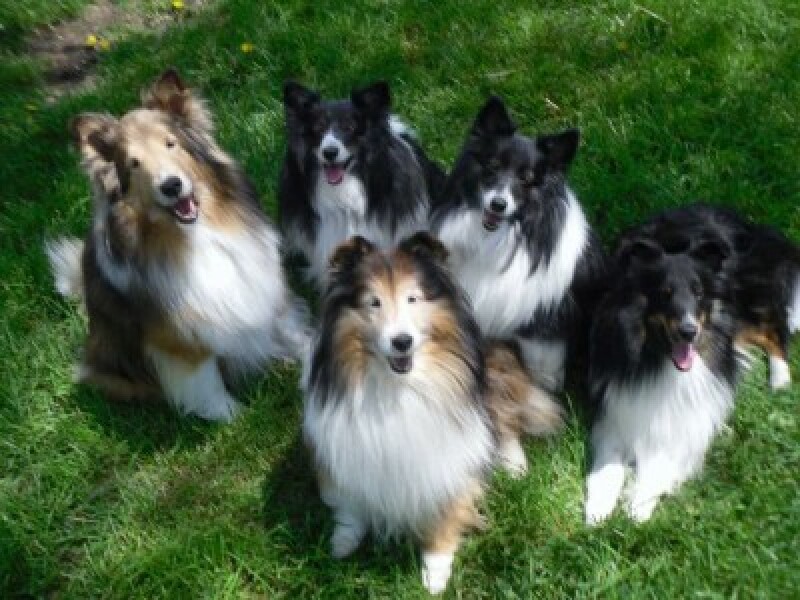 Archers thread #162: ‘This is like talking to Lassie’ – how right you are, Fallon! Discuss The Archers here.