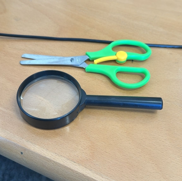 Please do all you can to object to the genocide of Palestinians (Thread 2)