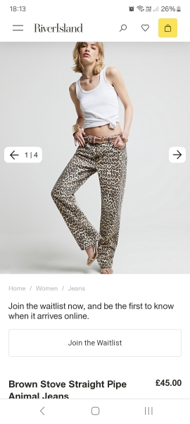 Leopard print jeans that aren't crazy expensive?