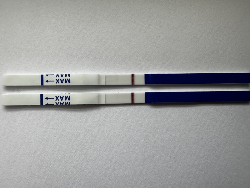 Pregnancy Tests Faint Line