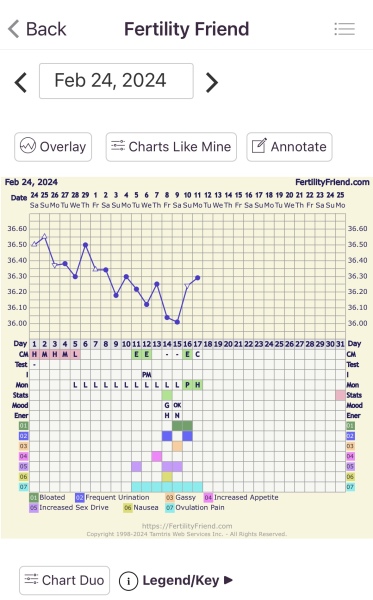 Have I ovulated?! 🍳