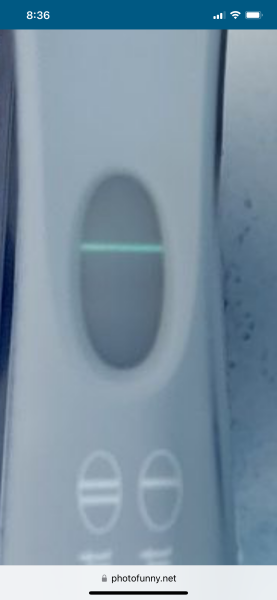 Evap or faint line 12DPO