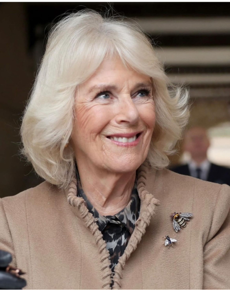 Royal Style: with hope, our threads continue