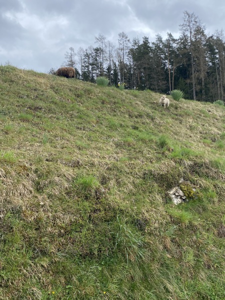 Come chat hiking with me!