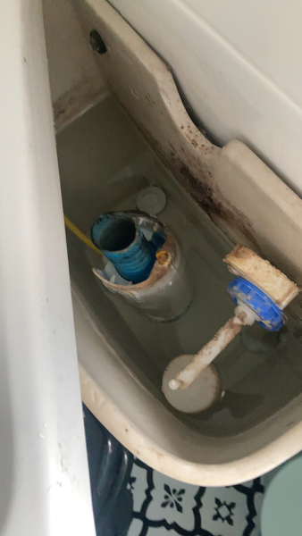 Toilet leak