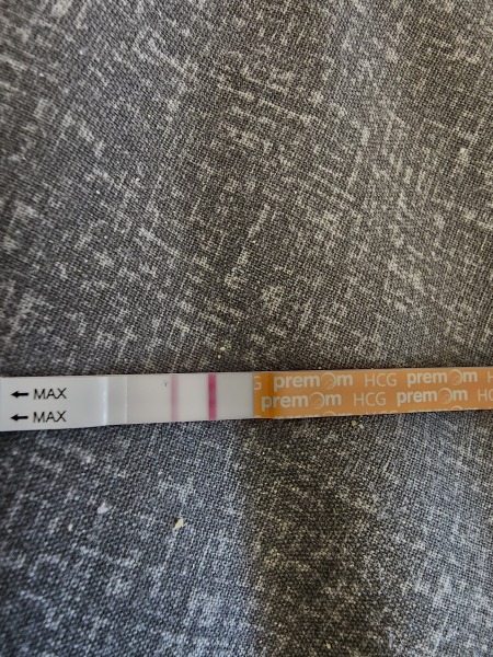 Dec-Christmas Babys 2024