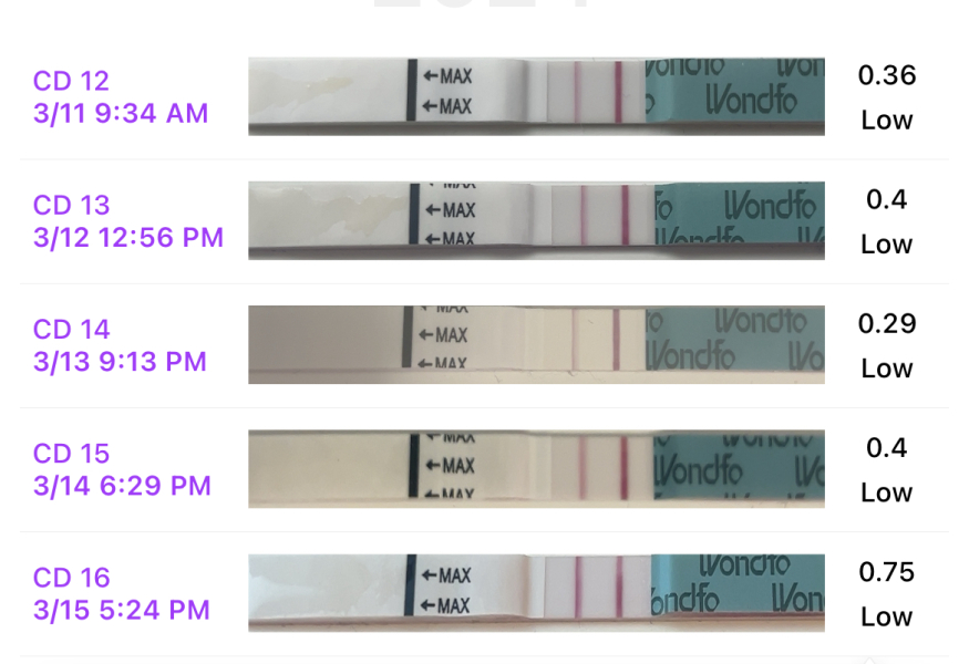CD1 entering 3rd month TTC (next fertile window 8th - 17th march)