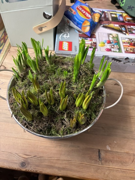 Anyone know what this is?
