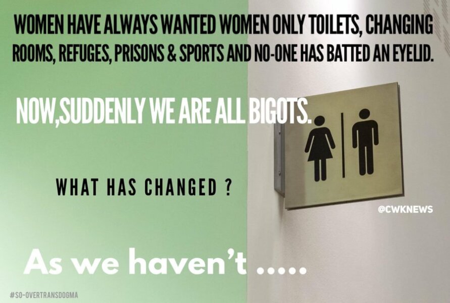 To think that J K Rowling was right in her predictions about what would happen to women and girls?
