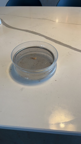 What is this?