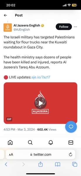 IDF statement on Aid Convoy Stampede