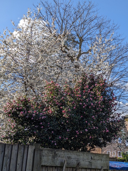 Come and tell me your dull and unexciting news 29: Calmly through the day