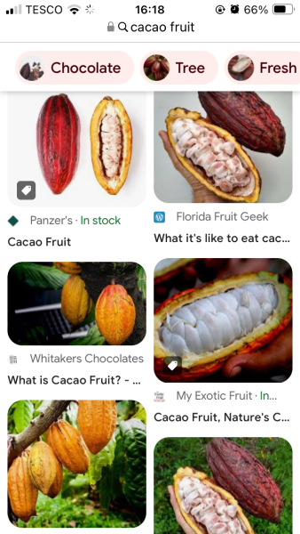Does anyone know what this fruit is