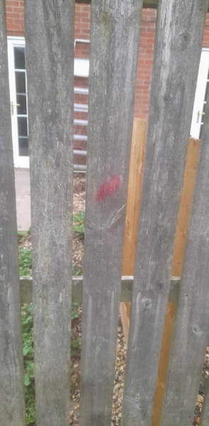 Is the “fence marked” rumour of dog napping true do you think?