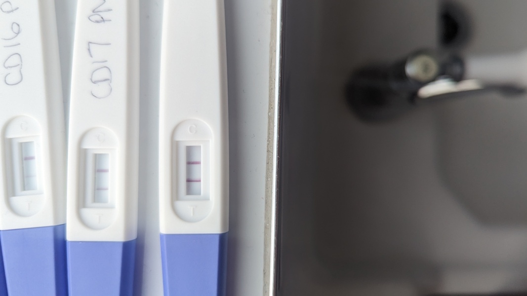 TTC April 2024…Christmas Babies! ❤️✨