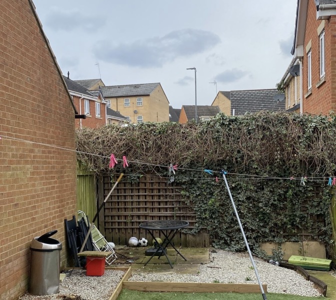 To think you can’t just cut someone’s bushes down?