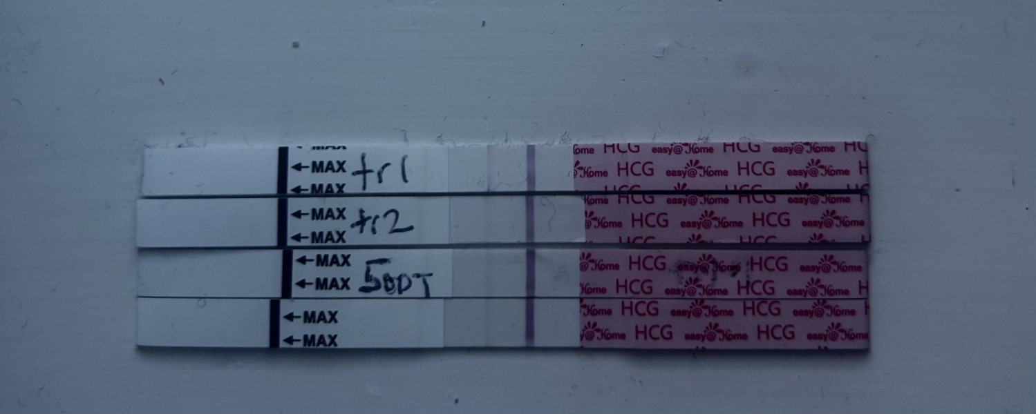 6DP5DT ? BFP