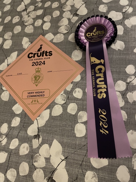 Puppy Survival Thread - for old and new pups heading into winter