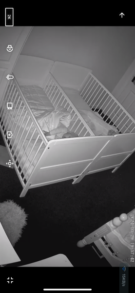 FTM winging it….should I drop I nap??