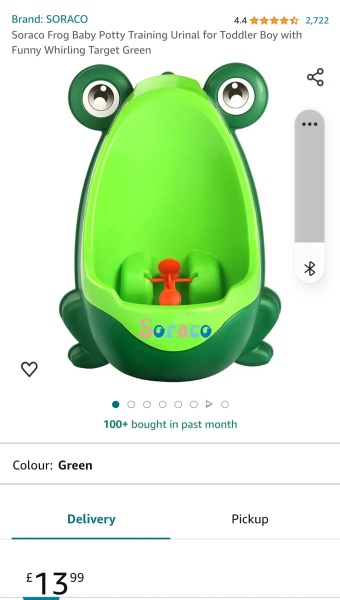 To give up potty training and wait for DS to say he wants to wear pants / use the toilet?