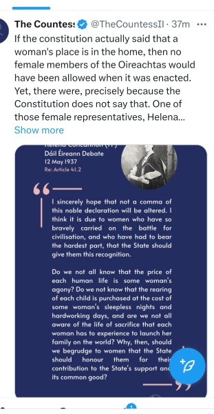 Gender Critical in Ireland Part 3