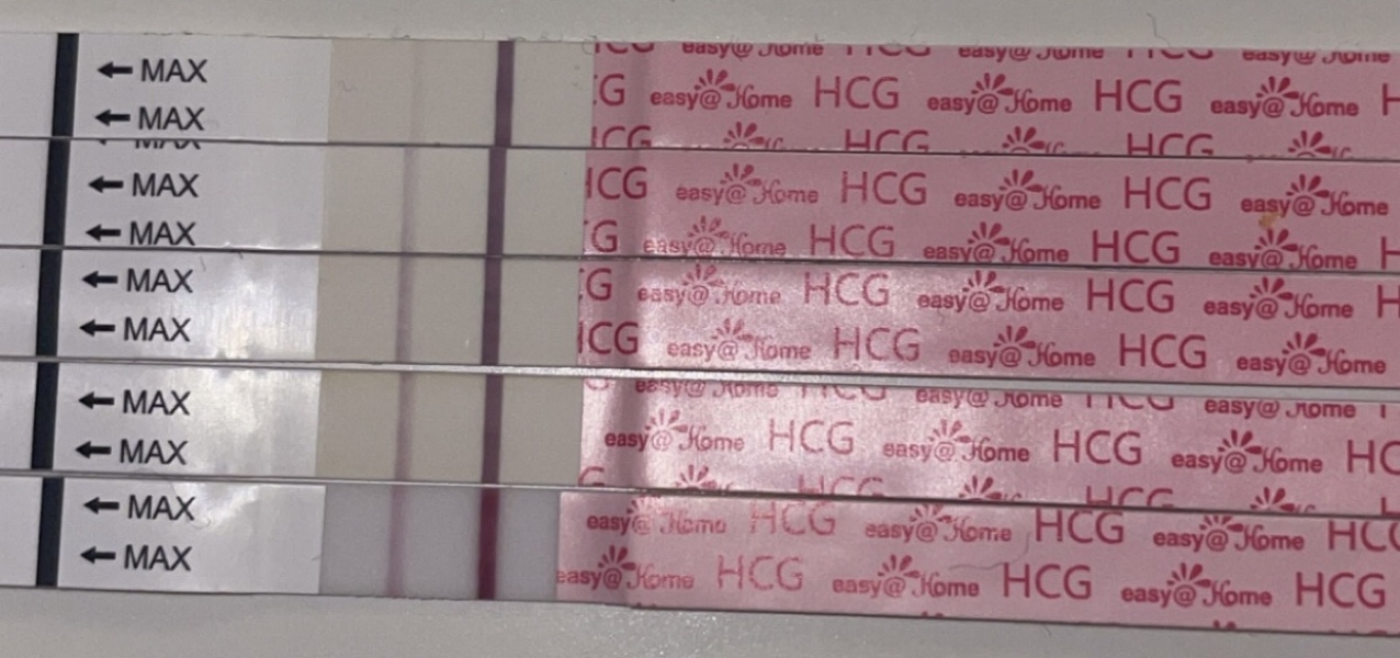 Baby due Nov 2024