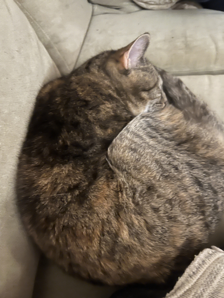 Thread 12 - TalkLair: “I say we take off and nuke the entire site from orbit. It's the only way to be sure.”