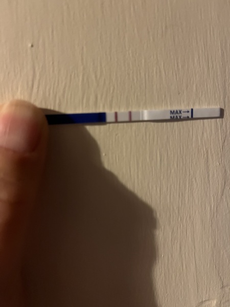 Baby due Nov 2024