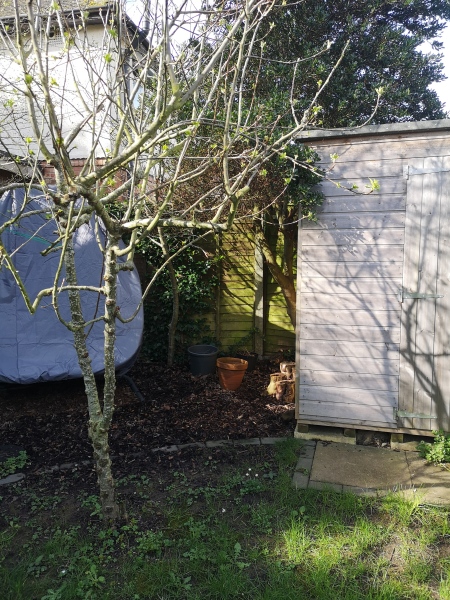 What have you done in the garden today Part 4 Spring 2024.