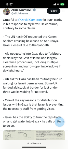 IDF statement on Aid Convoy Stampede