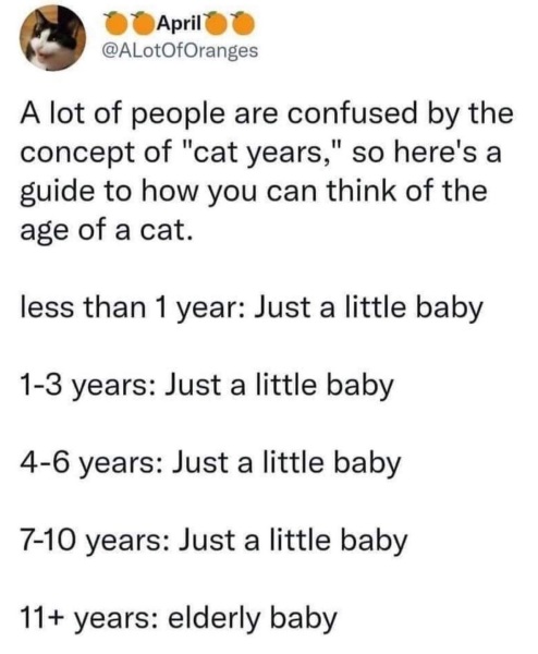 How true!