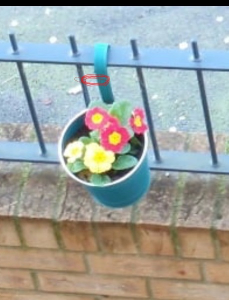 Shit tip garden where to start