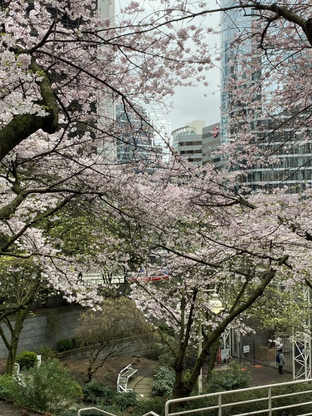 Come and tell me your dull and unexciting news 29: Calmly through the day