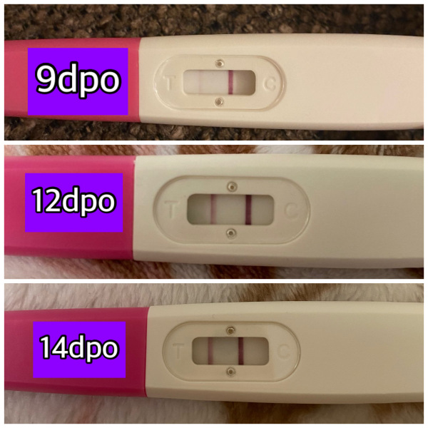 16dpo today and not feeling any different