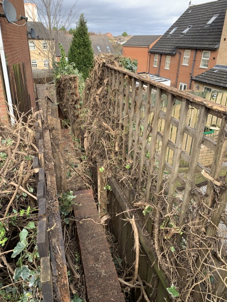 To think you can’t just cut someone’s bushes down?