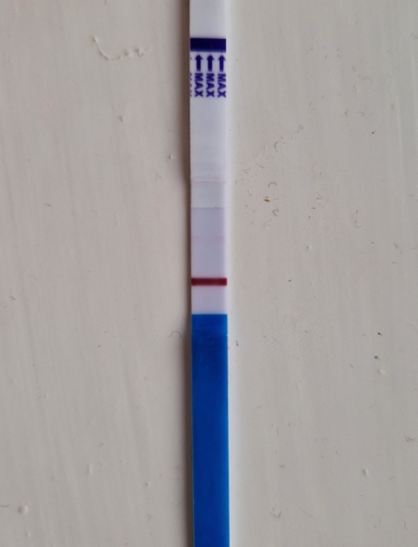 2024 TTC 35+ Part 2