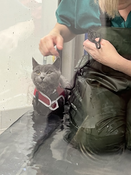 Finlay update - week 2 hydrotherapy