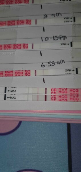 Dec-Christmas Babys 2024