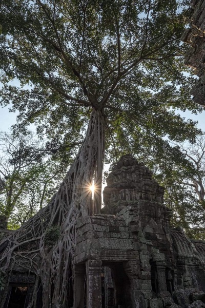 Cambodia suggestions