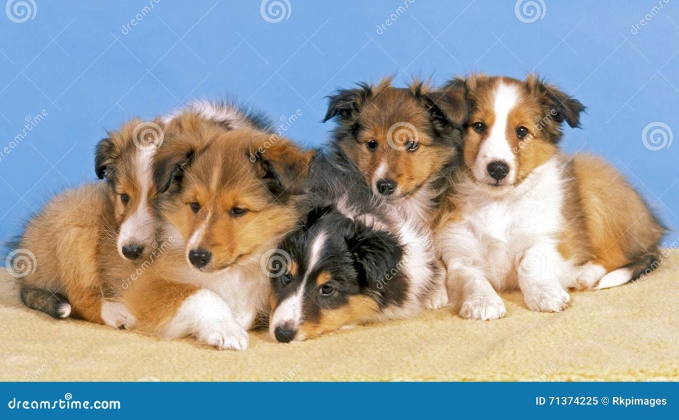 Archers thread #162: ‘This is like talking to Lassie’ – how right you are, Fallon! Discuss The Archers here.