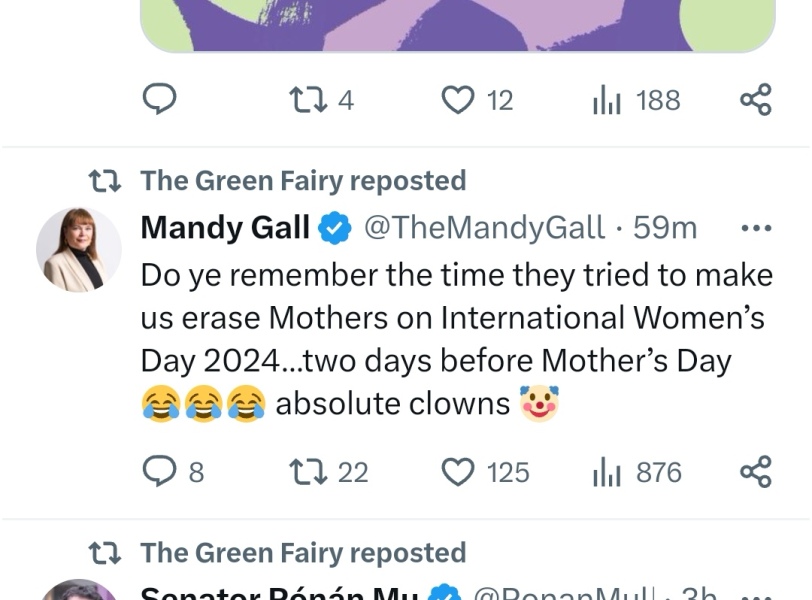 Gender Critical in Ireland Part 3